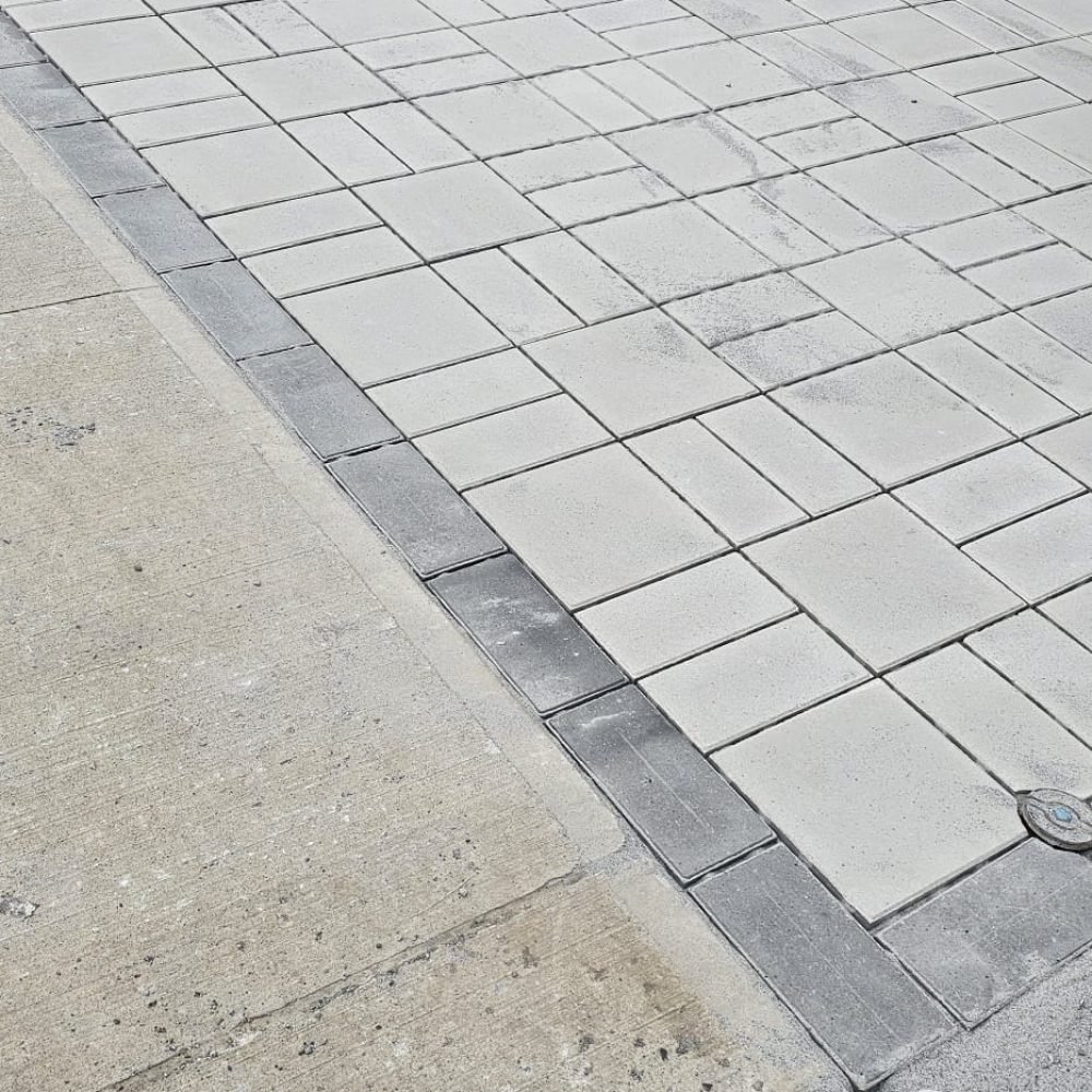 WhatsApp Image 2024-11-14 at 10.45.03 AM